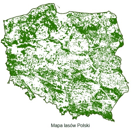 Mapa lasów w Polsce